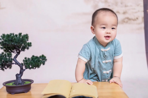 昌都可爱的企鹅宝宝